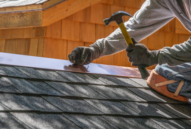 Best Solar Panel Roofing Installation  in Ferris, TX